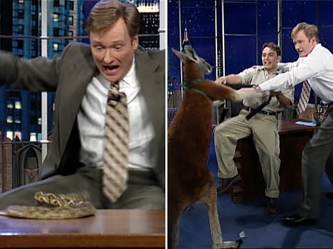 Animal Expert Jarod Miller: The Kangaroo Incident | Late Night with Conan O&rsquo;Brien