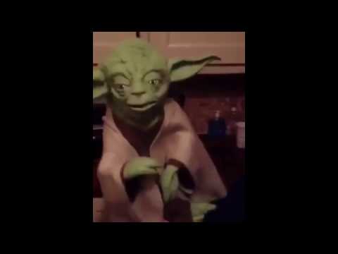 Yoda tells a funny joke (meme)