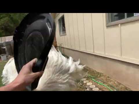 Woah, Hey is that kevin?