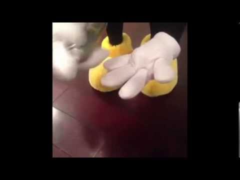 Smack Cam - Mickey Mouse Edition