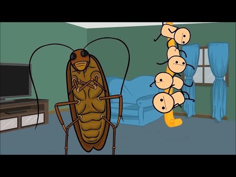 The Cyanide & Happiness Show - S01E01 - Bugs shorts